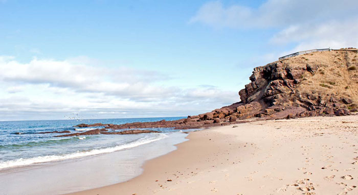 Hallett Cove Conservation Park